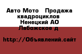 Авто Мото - Продажа квадроциклов. Ненецкий АО,Лабожское д.